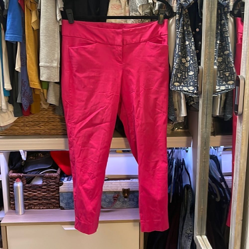 🌟THE LIMITED sz 10 stretchable skinny pant🌟